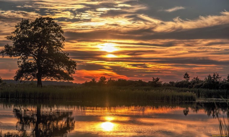 Природа закат