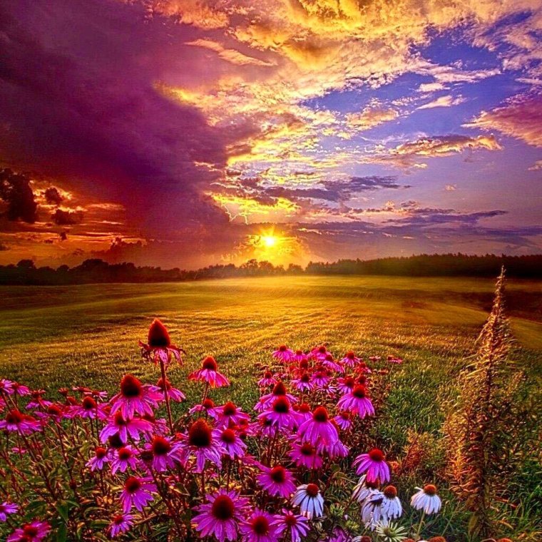 Природа закат