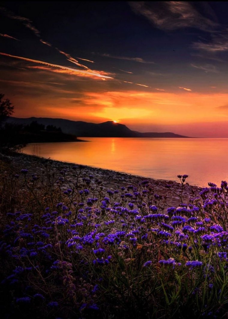 Пейзаж закат