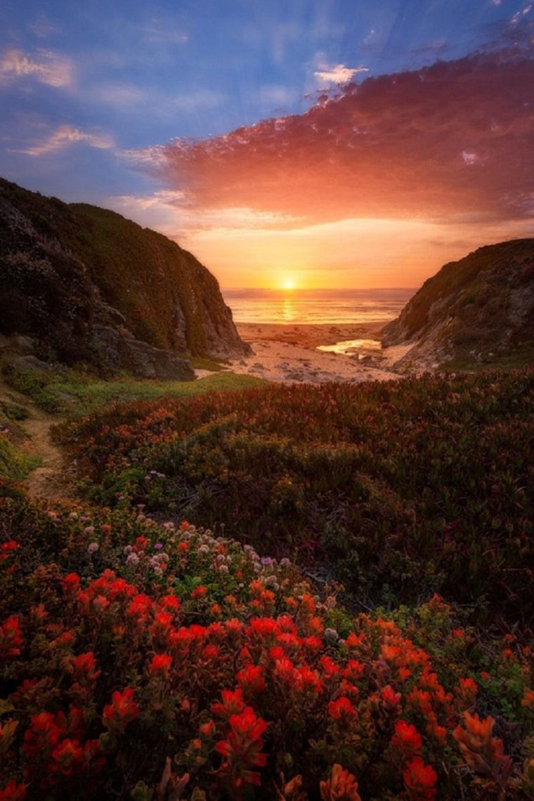 Красивый пейзаж