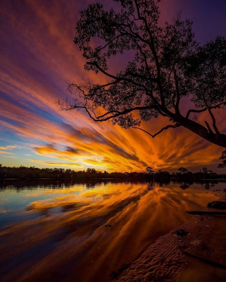 Красивый Вечерний пейзаж