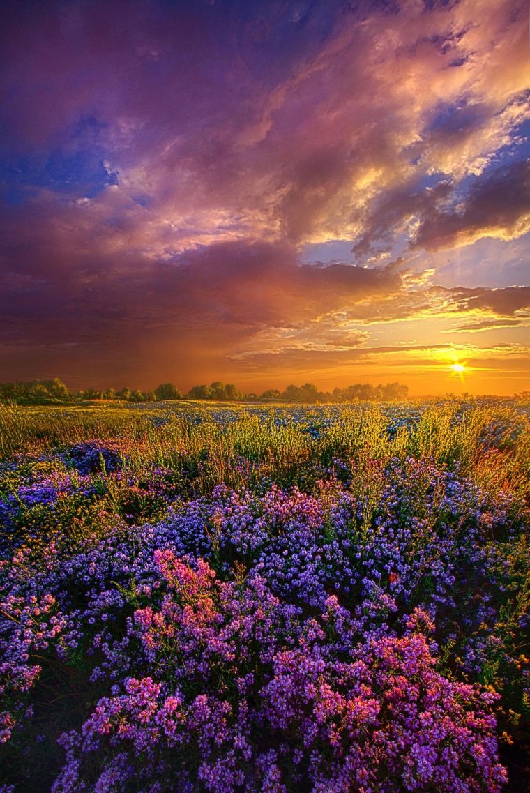 Природа закат