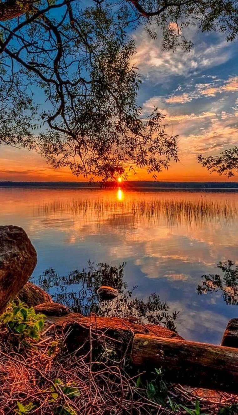 Красивая природа закат