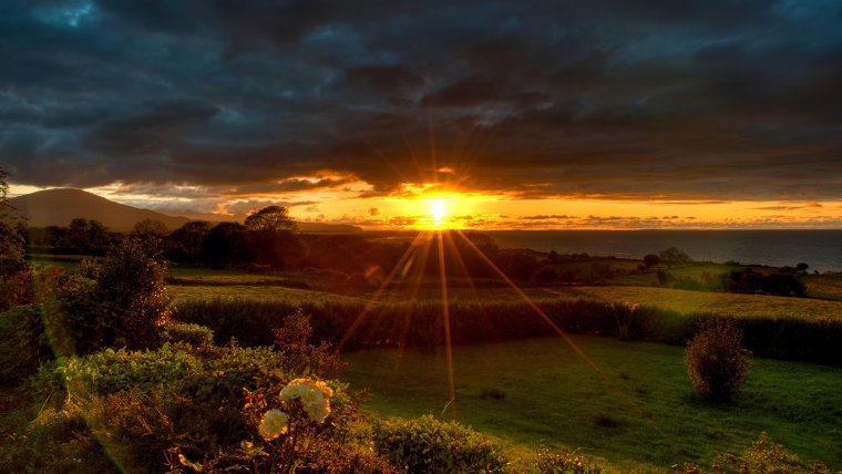 Природа рассвет