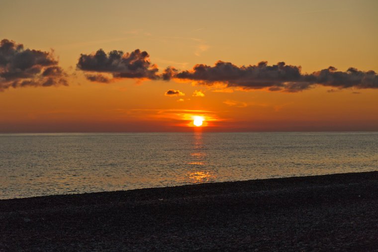 Абхазия море пальмы