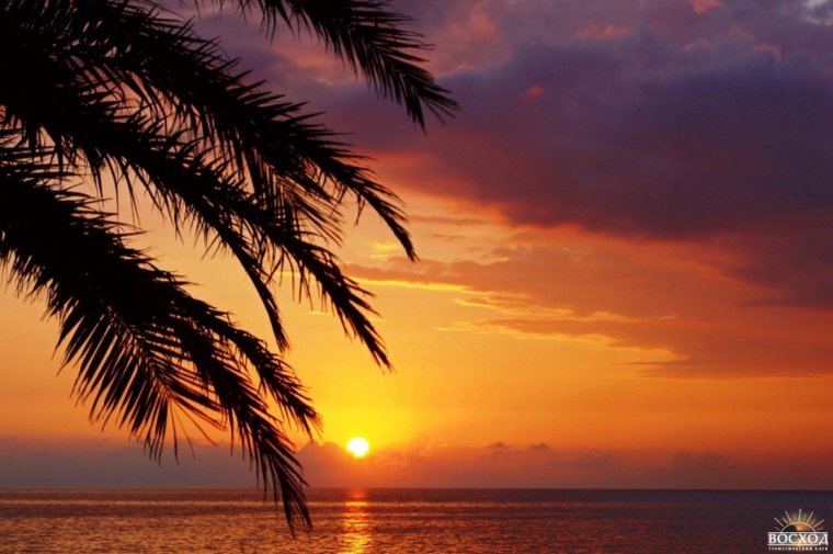 Абхазия зимой закат