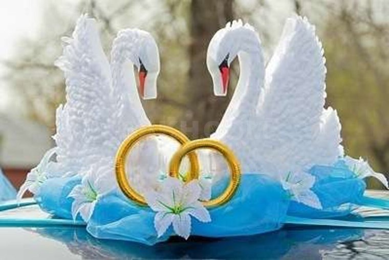 Лебеди сердце