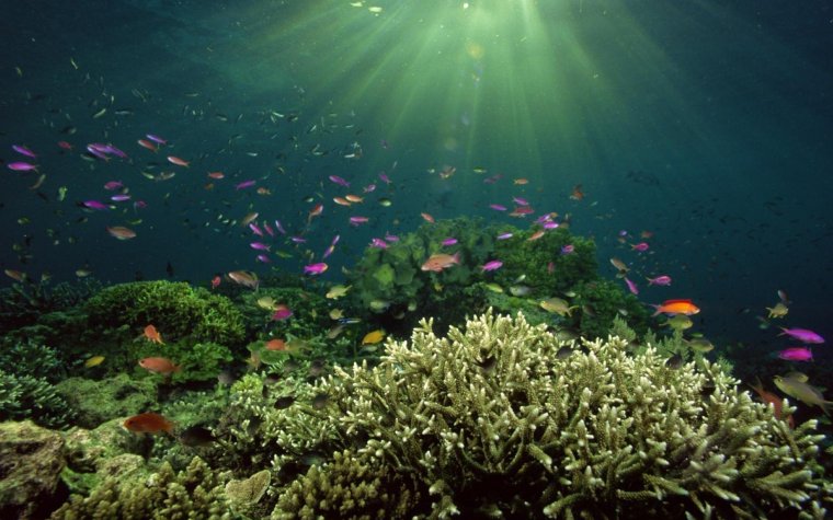 Морская глубь