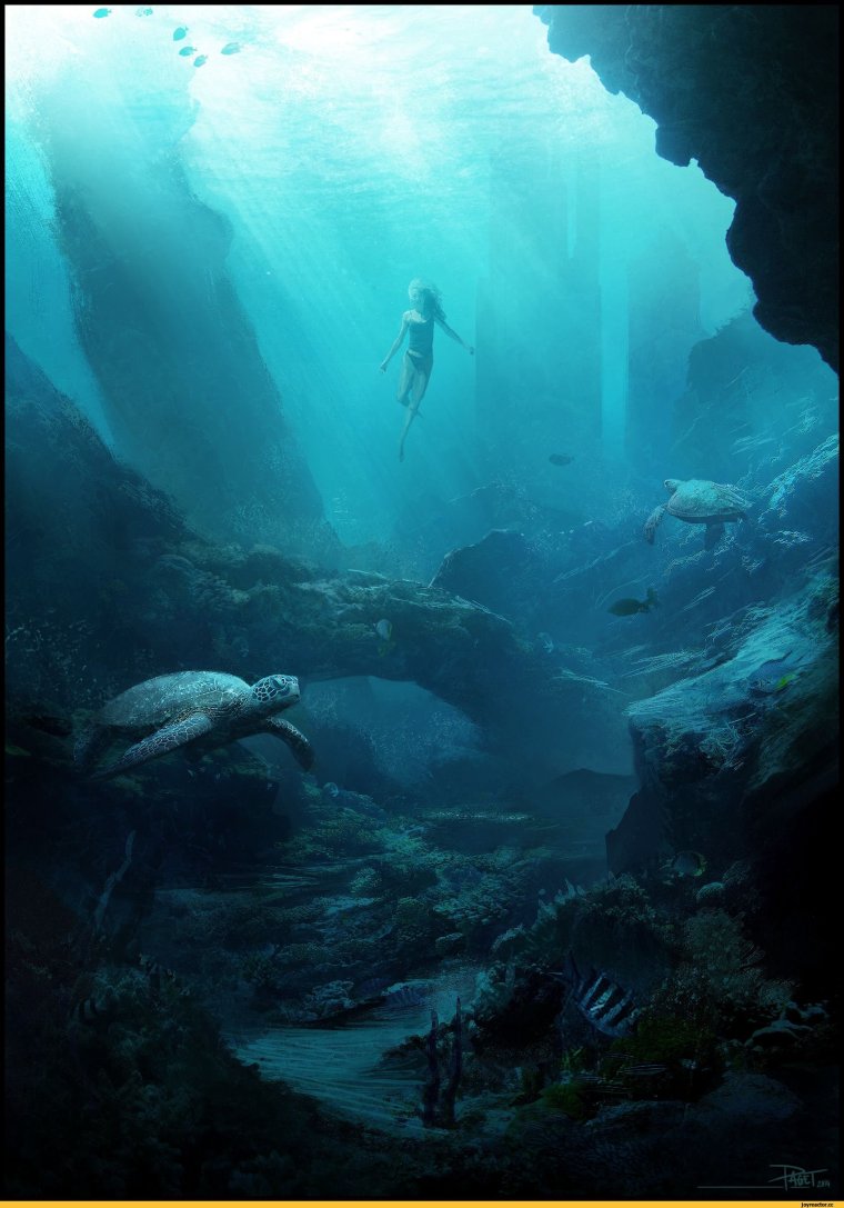 Подводный пейзаж