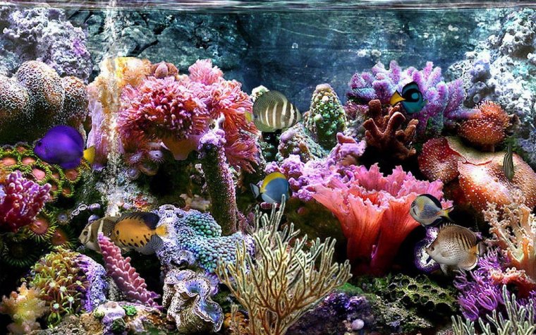 Морские глубины