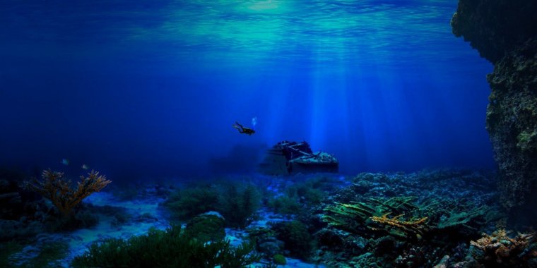 Морское дно