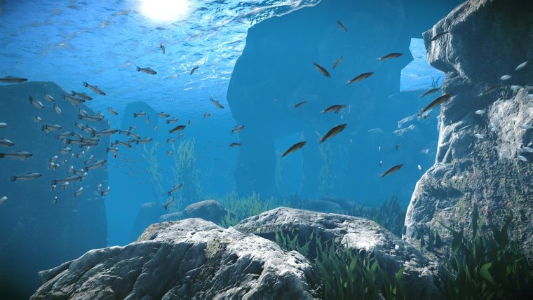 Подводные пейзажи