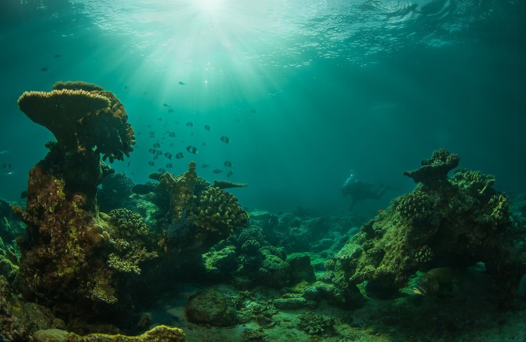 Подводная фотография