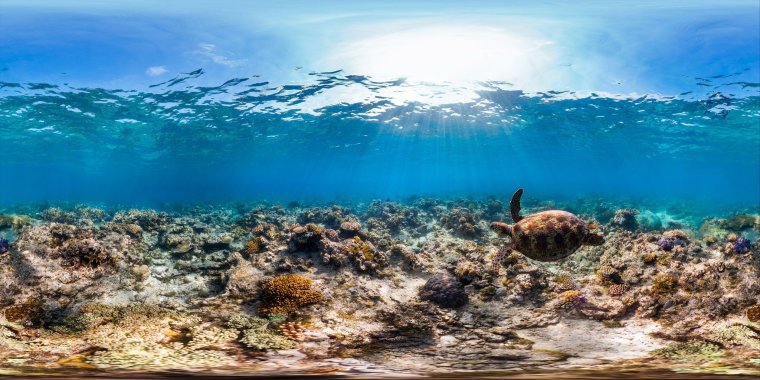 Панорама подводного мира