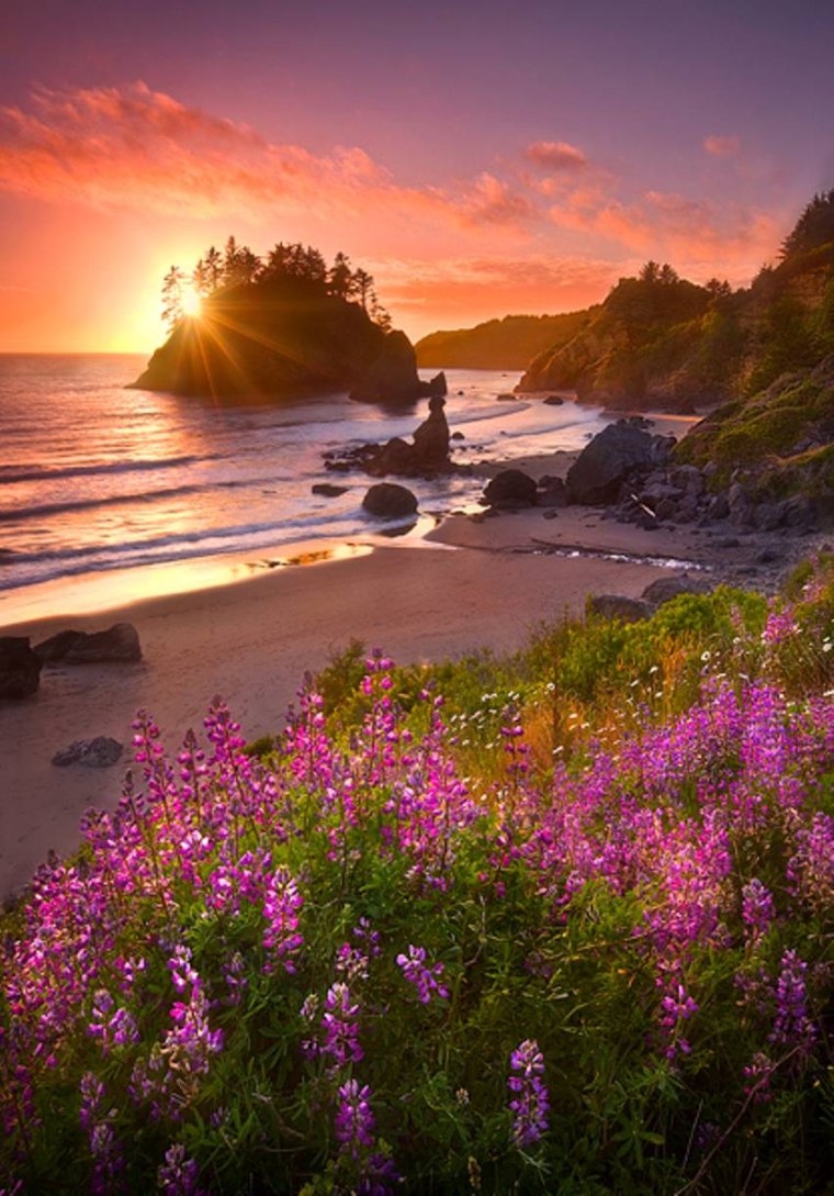 Пейзаж рассвет