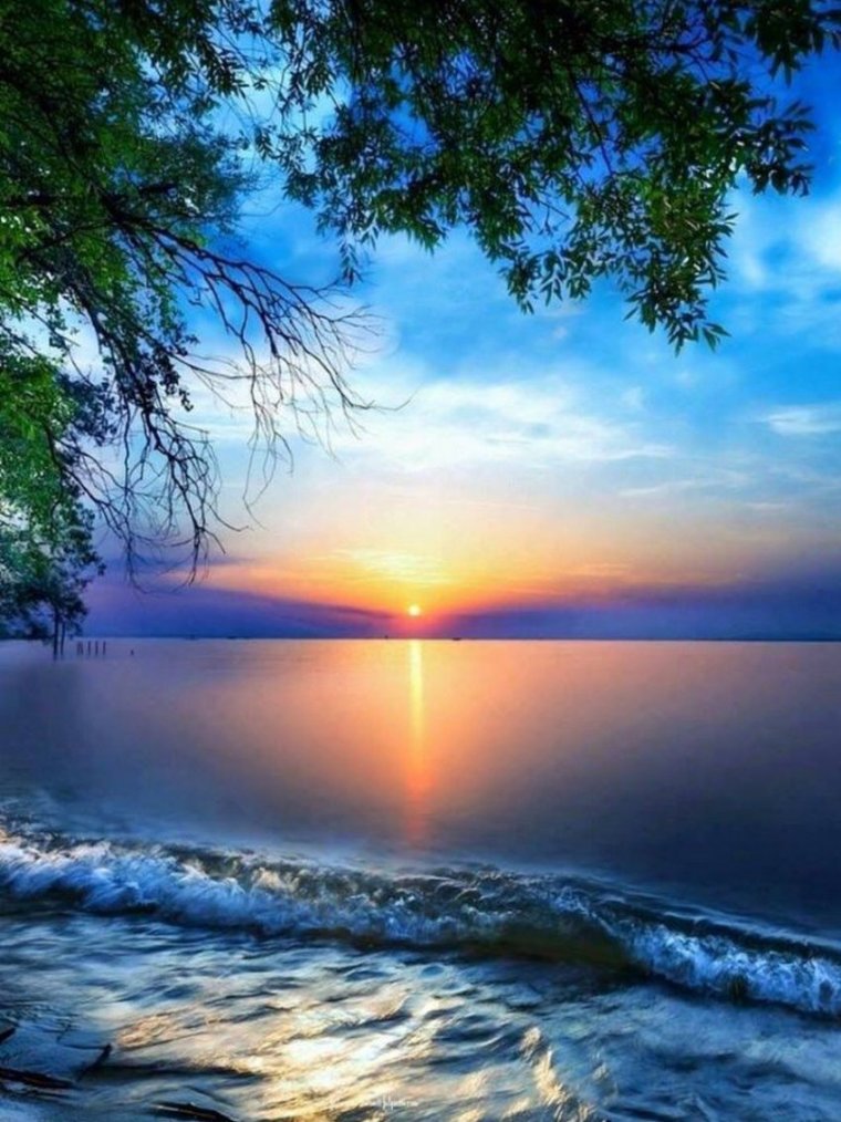 Природа рассвет