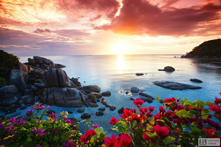 Море с цветами