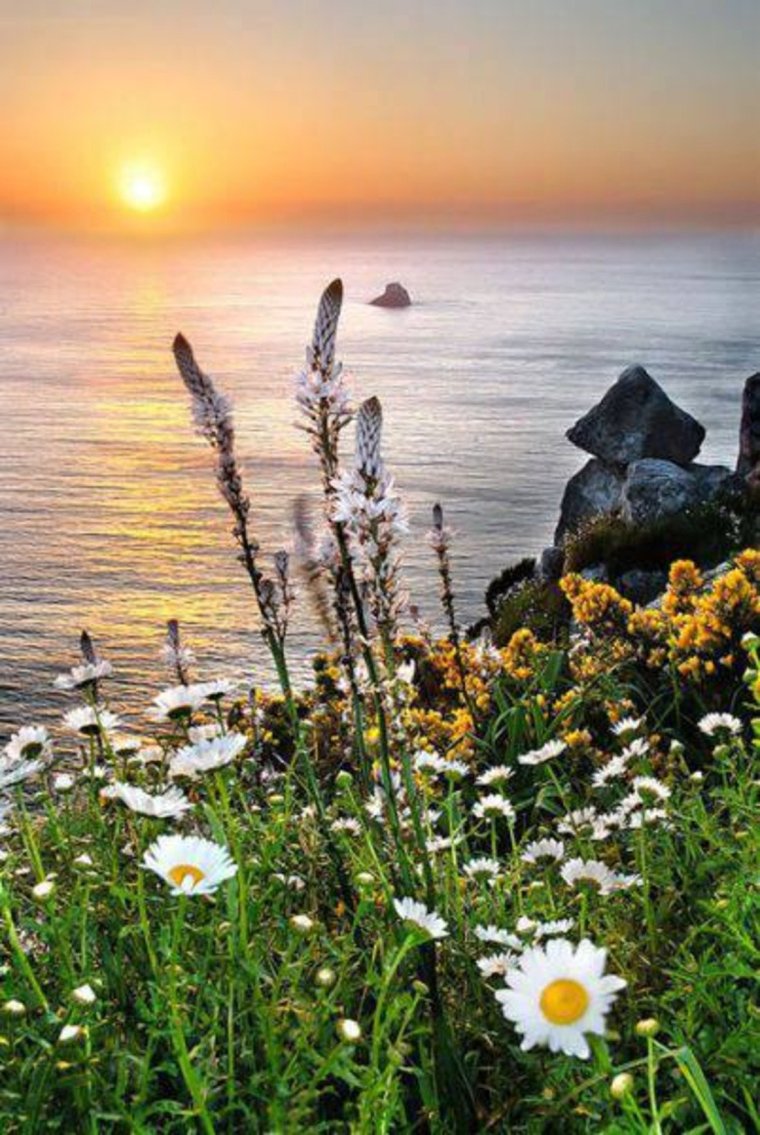 Июнь природа