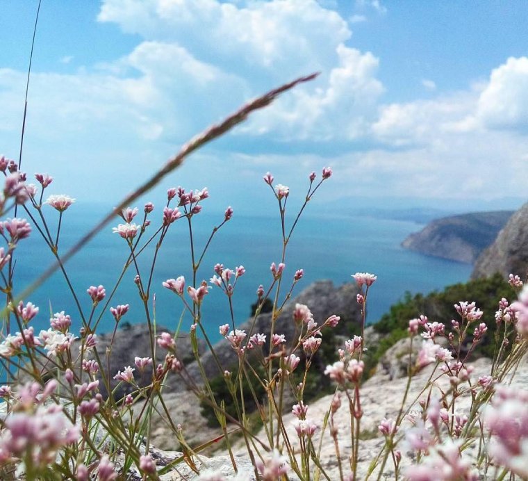 Весеннее утро в Крыму