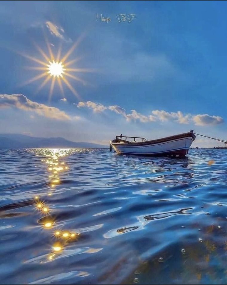 Морское утро