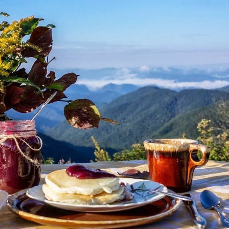 Завтрак на террасе у моря