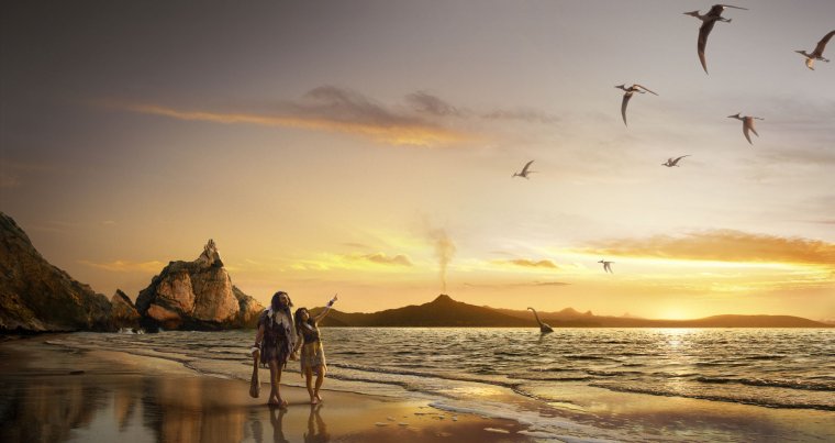 Море пальмы пара