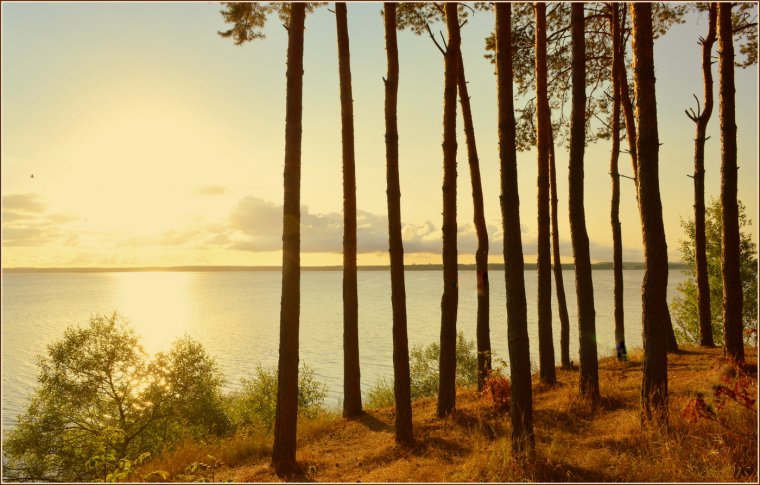 Минск пейзаж вот