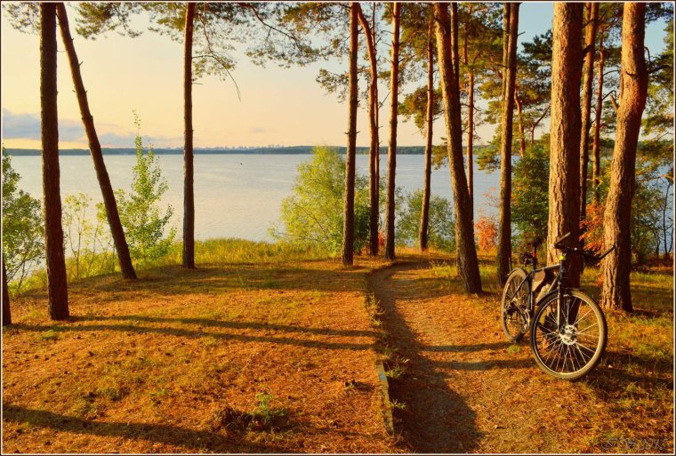 Заславское водохранилище санаторий Юность