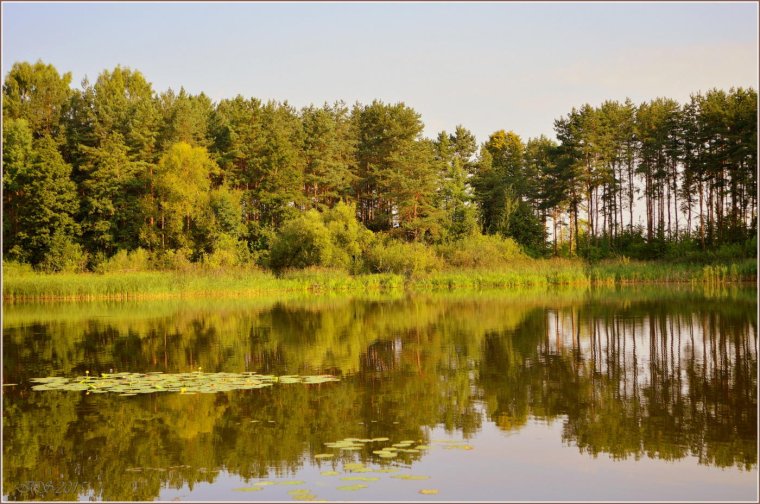 Заславское водохранилище Минск