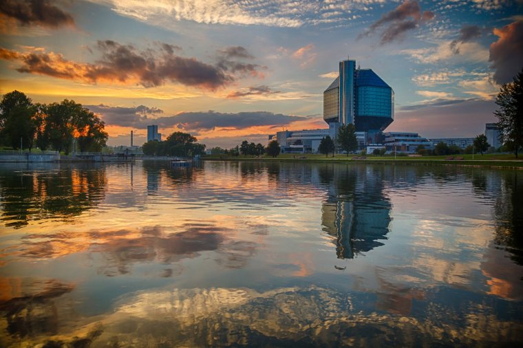 Берег Камы сосны