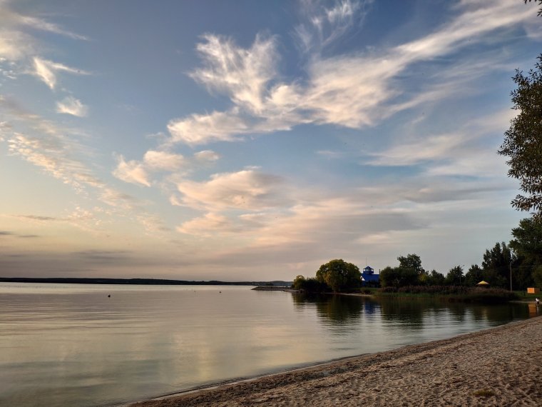 Минское море Флора