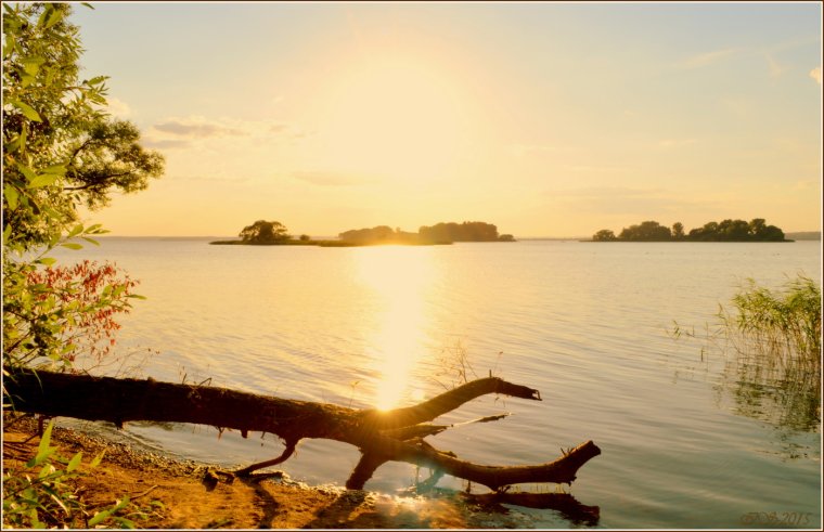 Море Минск Беларусь