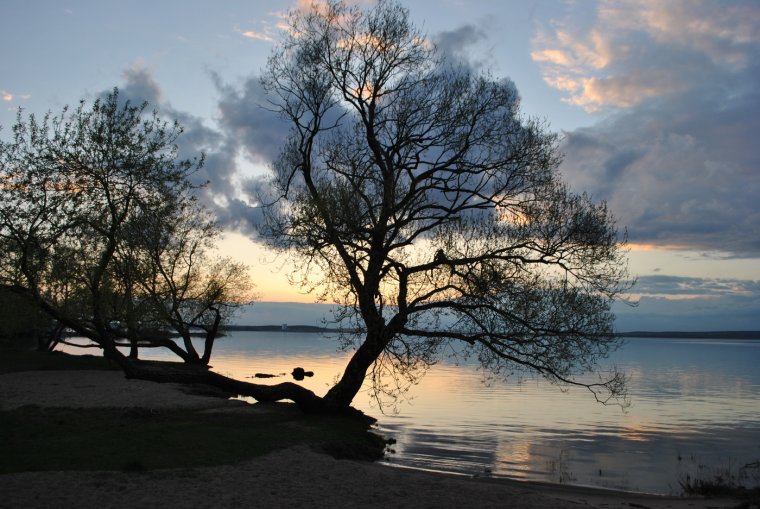 Белоруссия природа