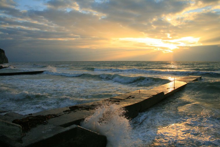 Берег черного моря