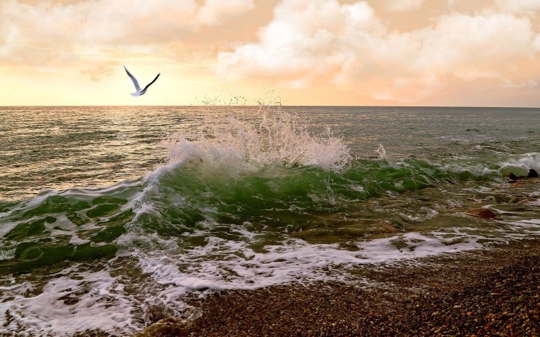 Затишье на море фото