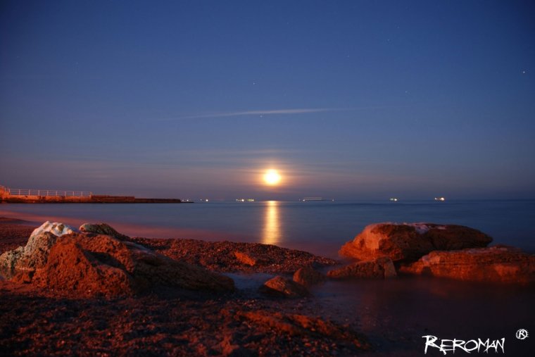 Одесса Чайки и бакланы в море