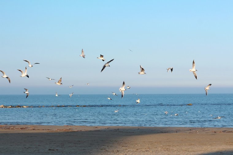 Азовское море 4к