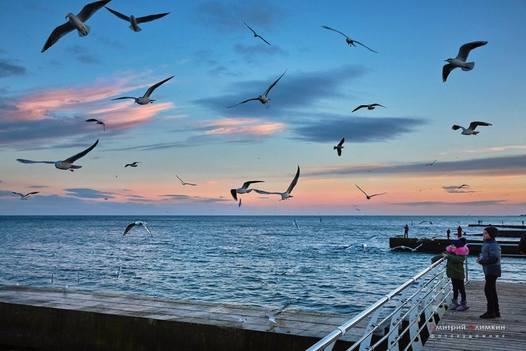 Ночной Куяльник