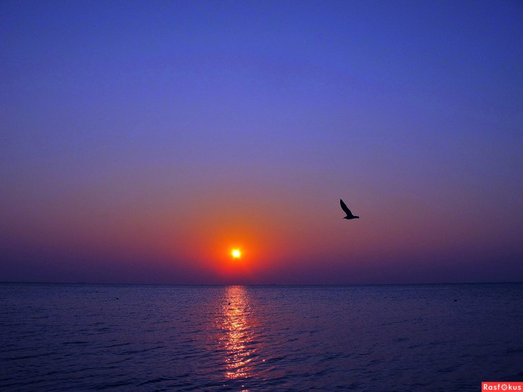 Вечернее зимнее море