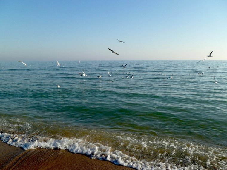 Море вернулось