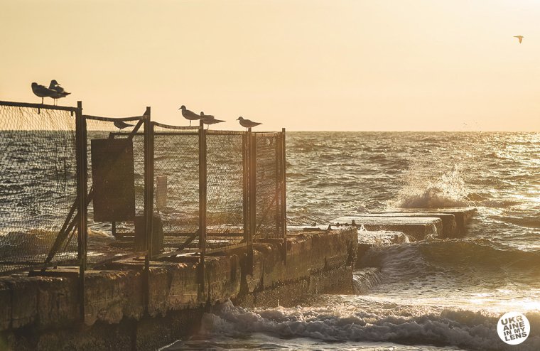 Черноморское Крым закат