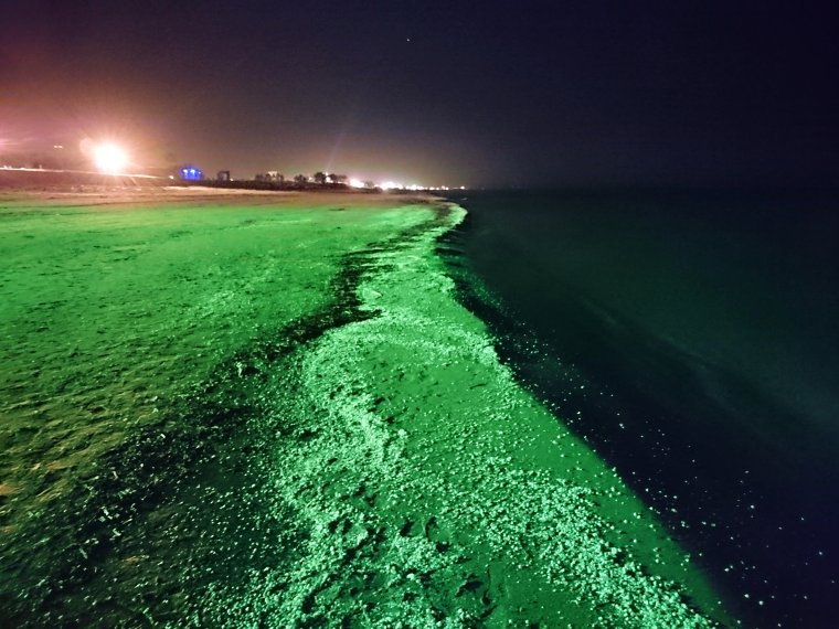 Каспийское море Казахстан