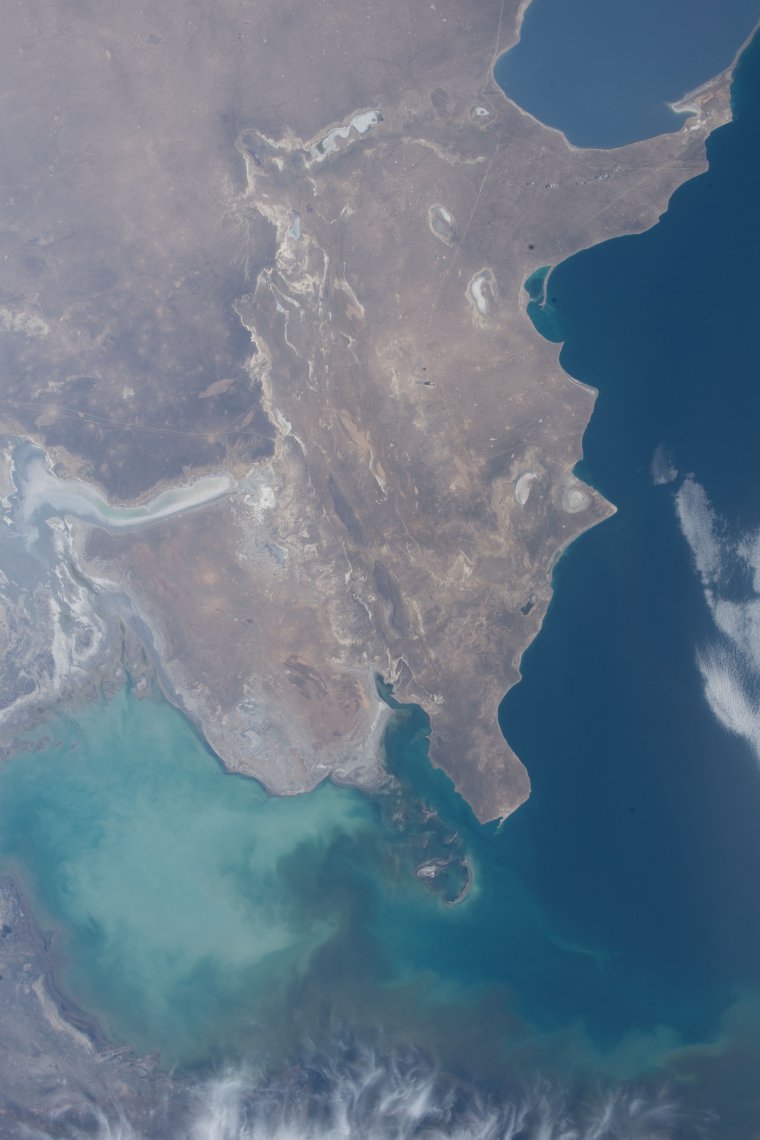 Тюленьи острова Каспийское море Казахстан