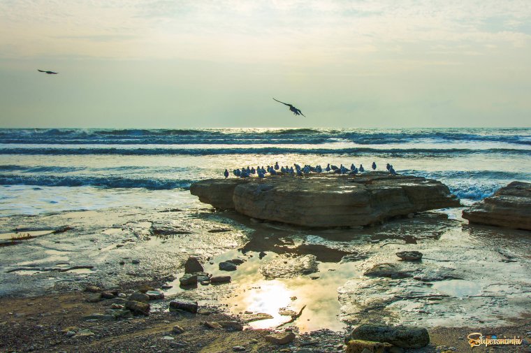 Аравийское море из космоса