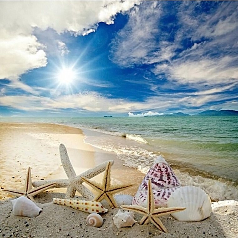 Лето море пляж