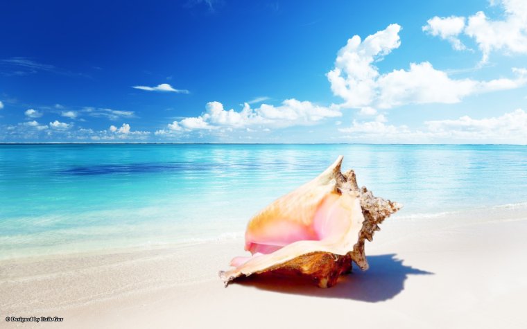 Мечты о море