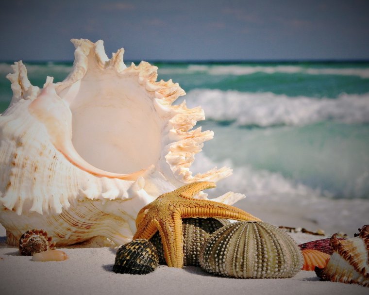 Красивое море