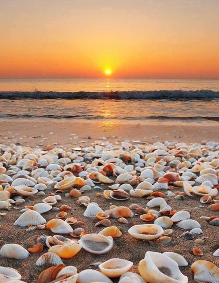 Феодосия ракушечный пляж