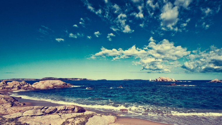 Летний пейзаж море