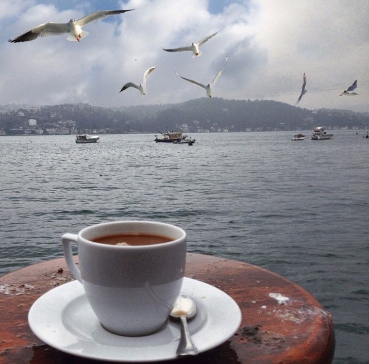 Чайки и кофе